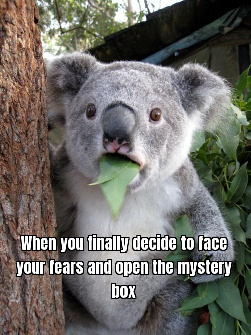 meme about opening. a sneaker mystery box