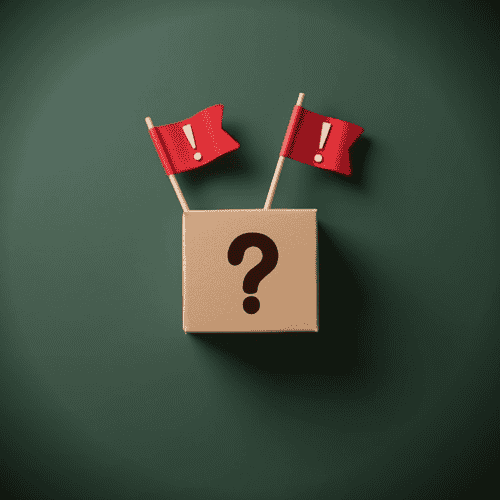 Post about red flags indicating a mystery box scam.