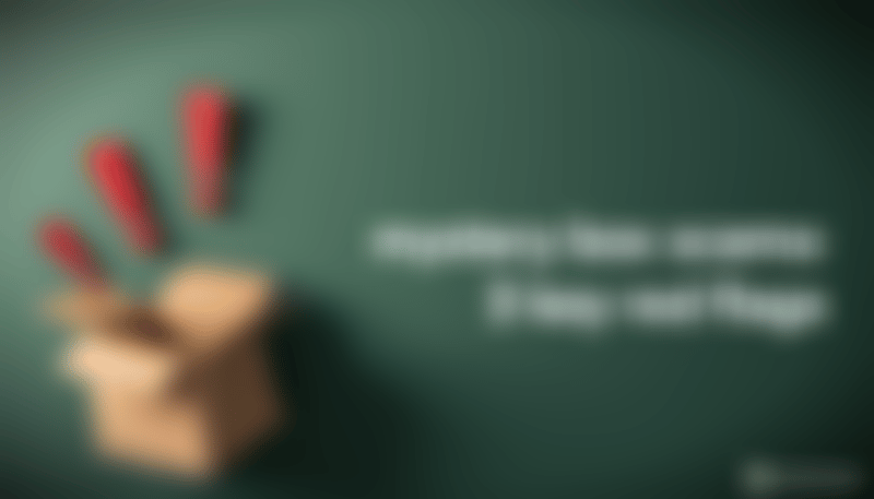 Banner image for Mystery box scams: 3 key red flags for [year]